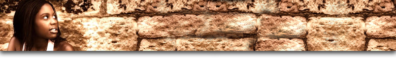 Showcase Banner